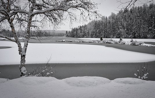 Free Landscape Nature photo and picture