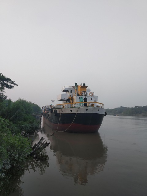 Free Cargo Ship photo and picture