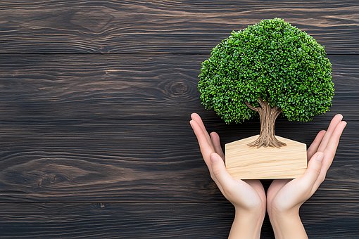 Free Ai Generated Tree illustration and picture
