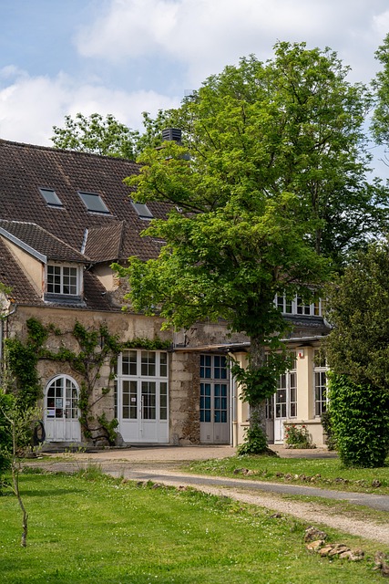 Arkitektur, Gammel, Træ, Grøn, Natur