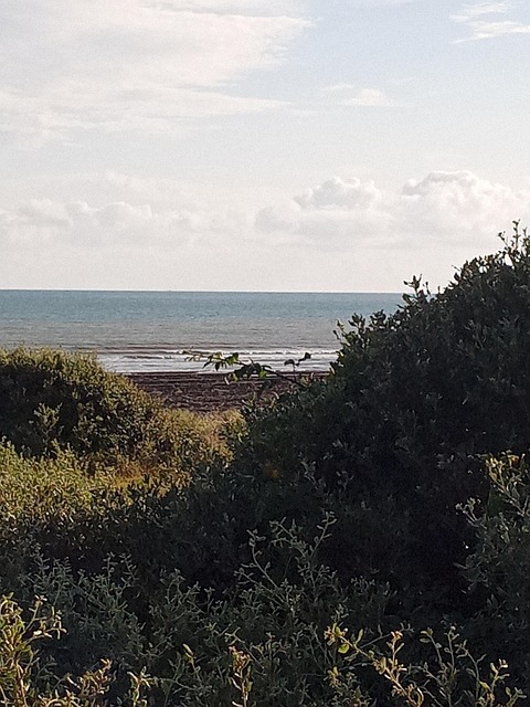Free Summer The Coast photo and picture
