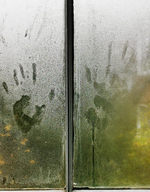 Free Imprint Palm photo and picture