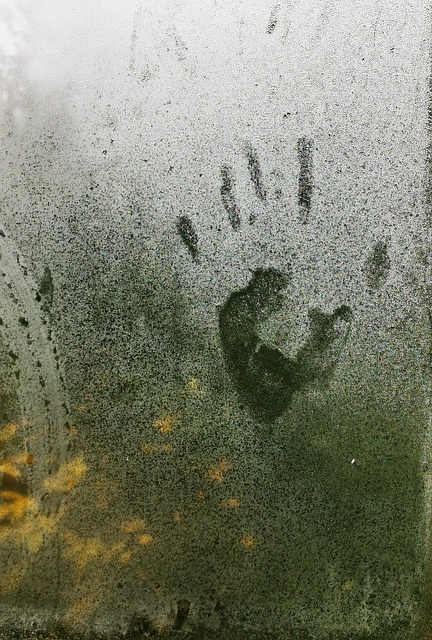 Free Imprint Palm photo and picture