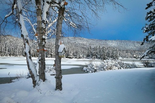 Free Landscape Nature photo and picture