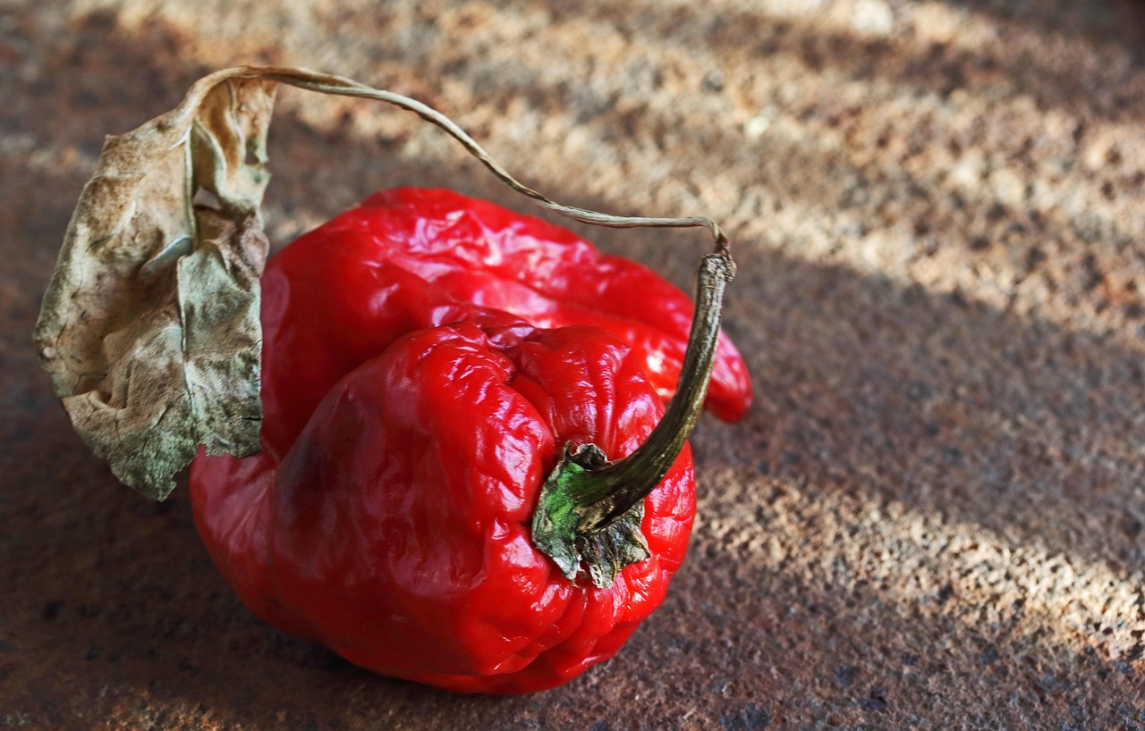 Bell Pepper Red Ripe - Free photo on Pixabay