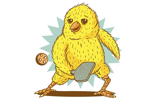 Free Pickleball Chick Cute Pickleball Player photo and picture