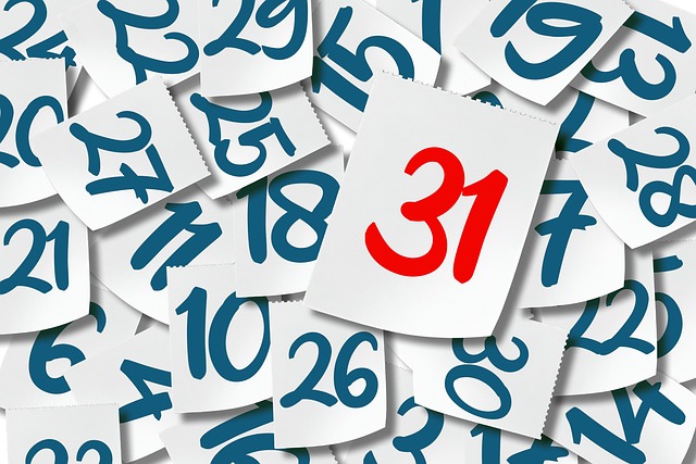 Free termination 31 dismissal illustration