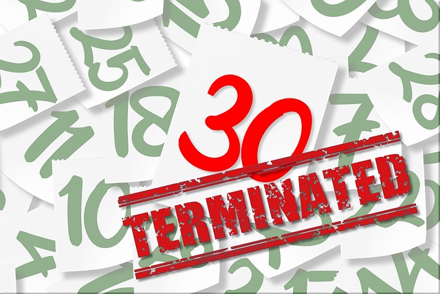 Free termination 31 dismissal illustration