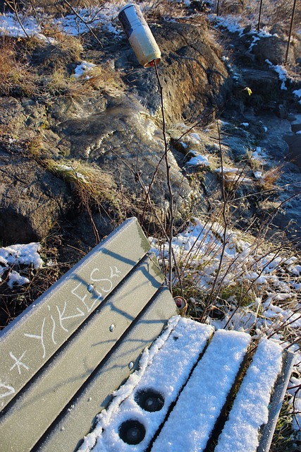 Vinter, Sne, Kold, Varm, Lys, By