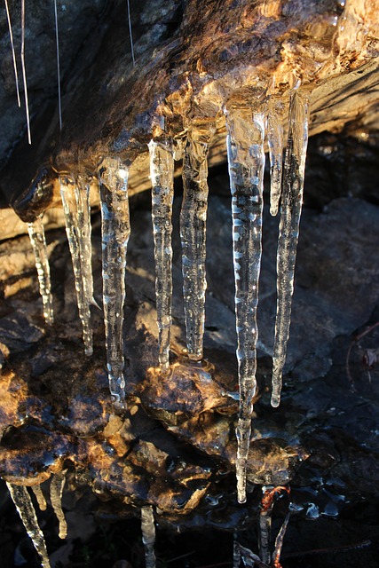 Vinter, Dråbe, Vand, Natur, Skov