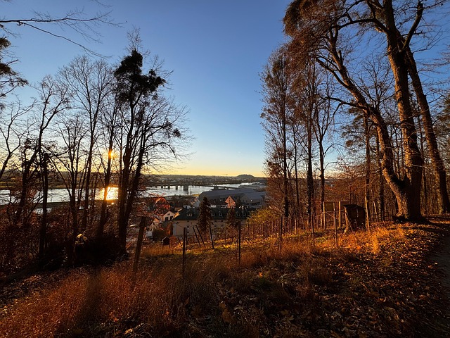 Free Nature Landscape photo and picture