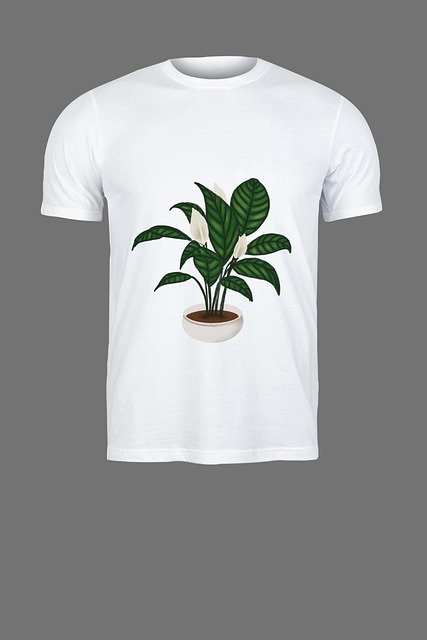Mucap, Tricou, Îmbrăcăminte, Cămaşă