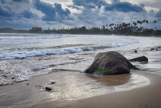 Sri Lanka, Strand, Natur, Hav, Ocean
