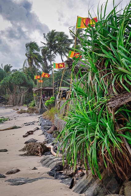 Sri Lanka, Flag, Strand, Natur, Kyst