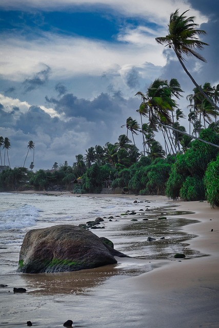 Sri Lanka, Strand, Natur, Hav, Kyst