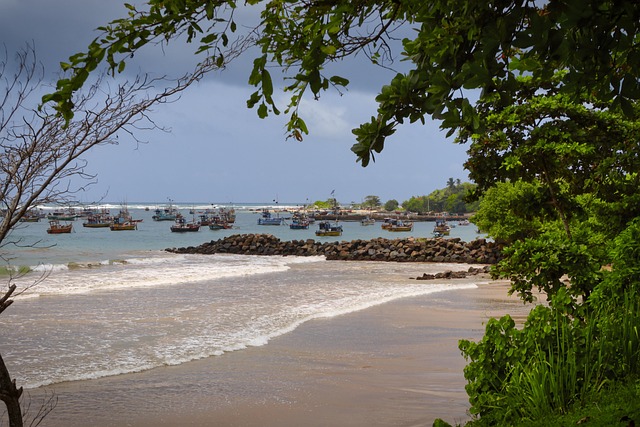 Sri Lanka, Hav, Natur, Strand, Ocean