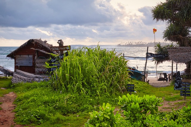 Sri Lanka, Hav, Natur, Landskab