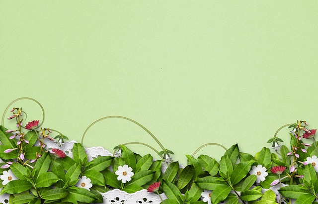 Download free HD stock image of Greenery Ivy Free greenery ivy frame illustration