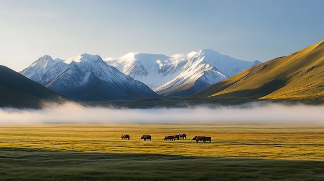 Free scenery hill pasture illustration