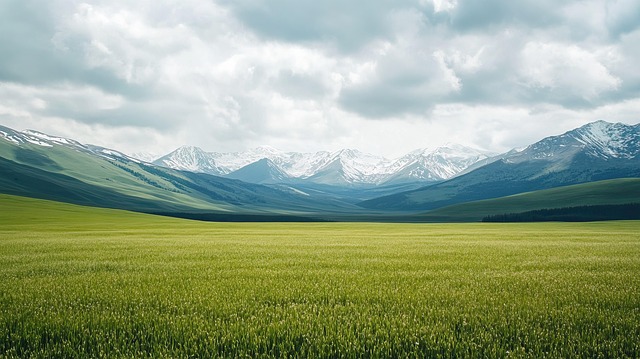 Free scenery hill pasture illustration