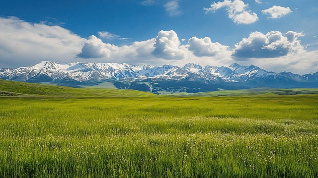 Free hill pasture german illustration