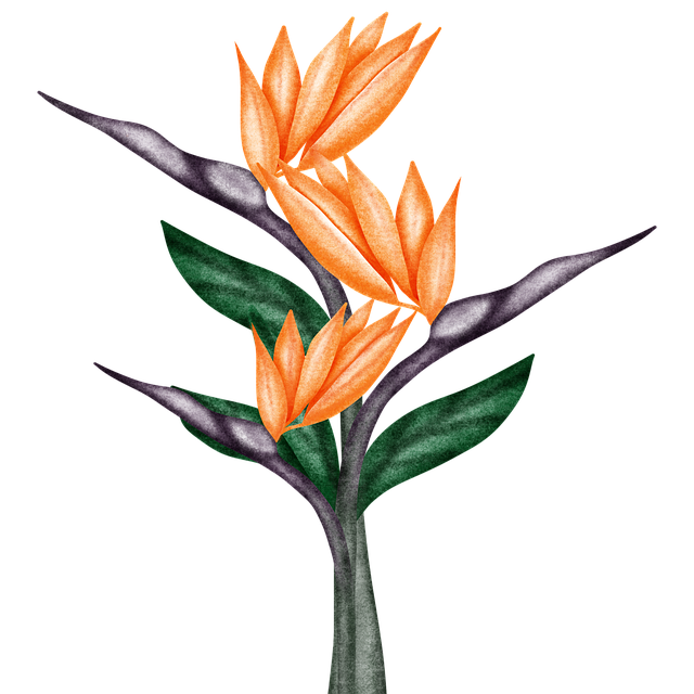 Free bird of paradise flowers nature illustration