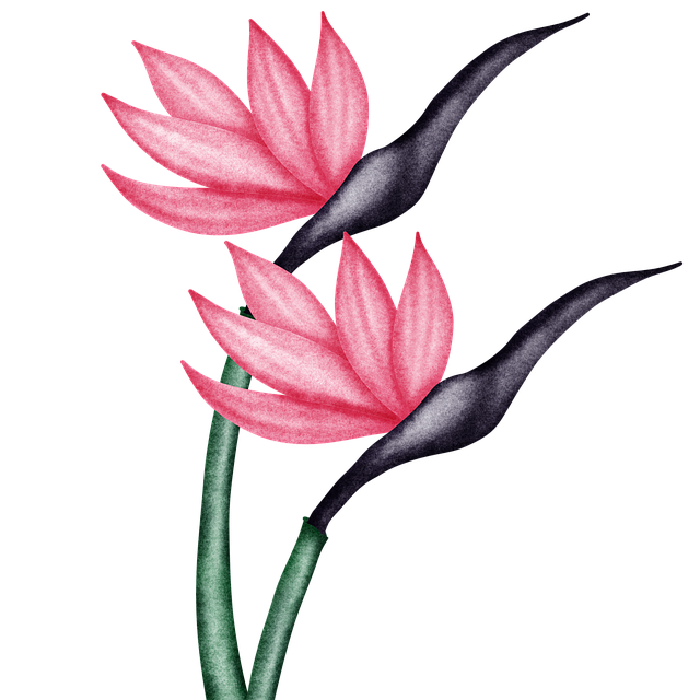 Free bird of paradise flowers nature illustration