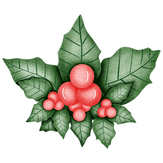 Weihnachten, Stechpalme, Beeren