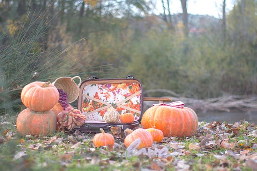 Otoño, Calabaza, Fotografia, Pumpkin