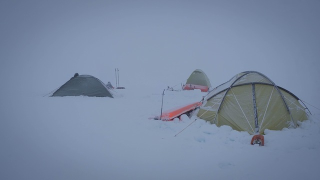 Free Lapland Snow photo and picture