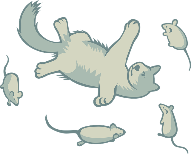 Free cat pet animals vector