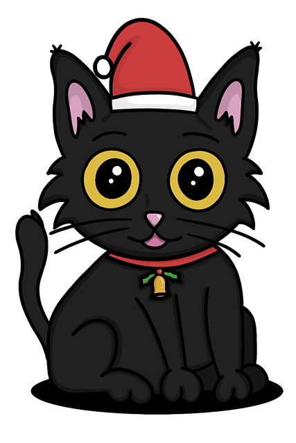 Katze, Haustier, Tier, Weihnachten