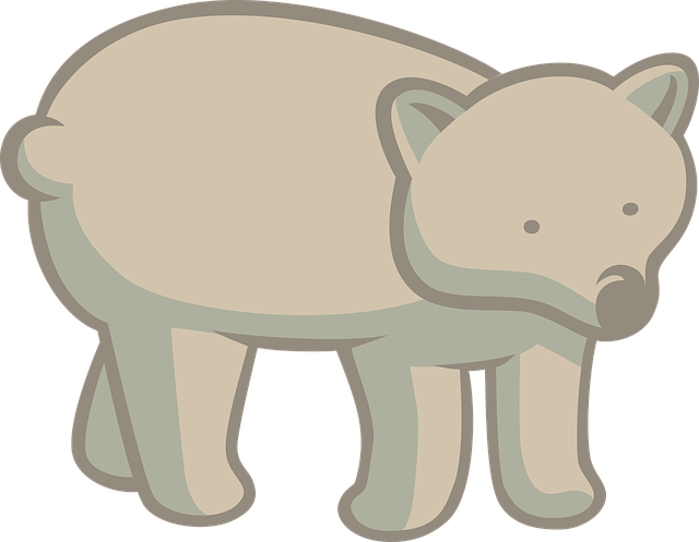 Bär, Natur, Tier, Tierwelt, Säugetier