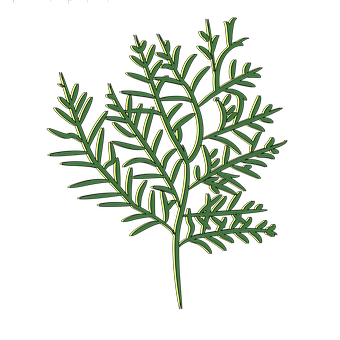 Free Pine Green illustration and picture