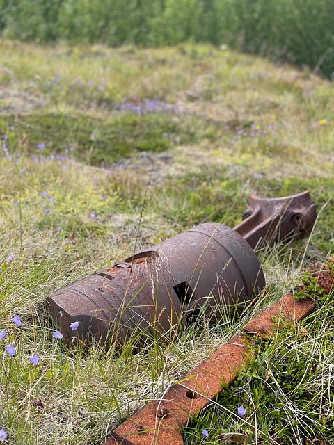Free Rust Metal photo and picture
