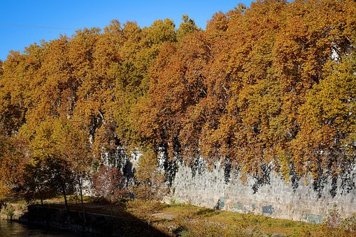 Free Autumn Nature photo and picture