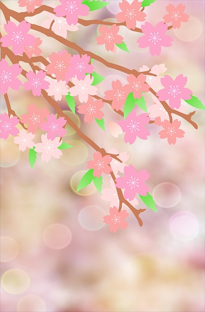 Cherry Blossom, Forår, Træ, Natur