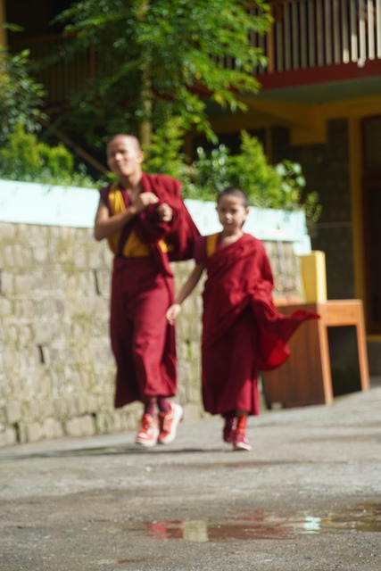 Free Monk Boy photo and picture