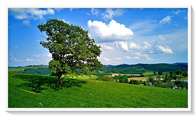 Free Nature Landscape photo and picture