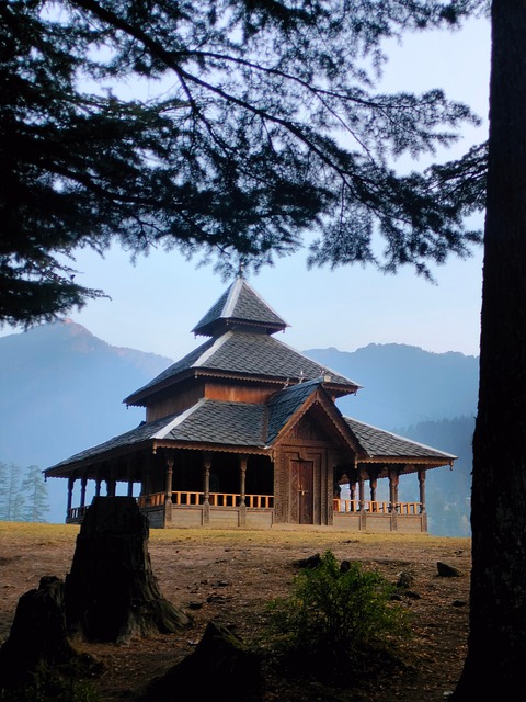 Mahadev, Templo, Shiva, Árbol