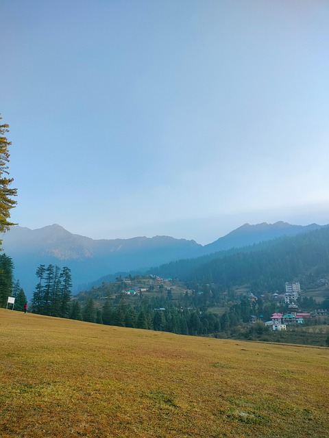 Montaña, Naturaleza, Bosque, Viaje