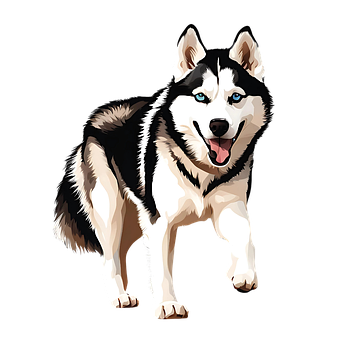 Free Ai Generated Siberian Husky illustration and picture