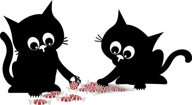 Free cat kitten black cats vector