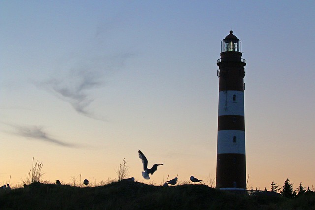 Free Amrum Island photo and picture