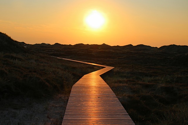 Free Amrum Island photo and picture
