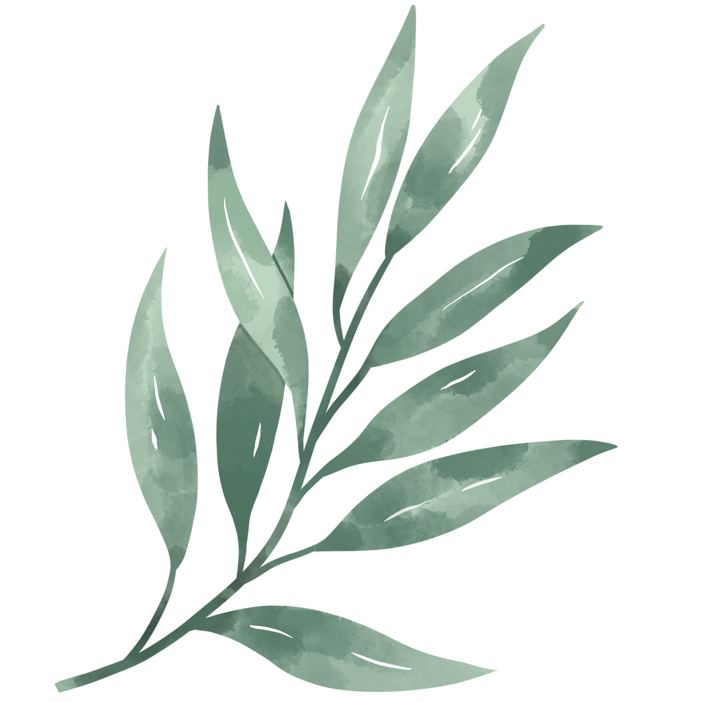Amirfaozi Pixabay amirfaozi-pixabay