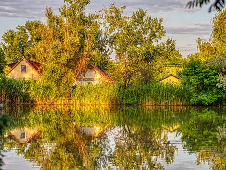 Free Nature Forest photo and picture