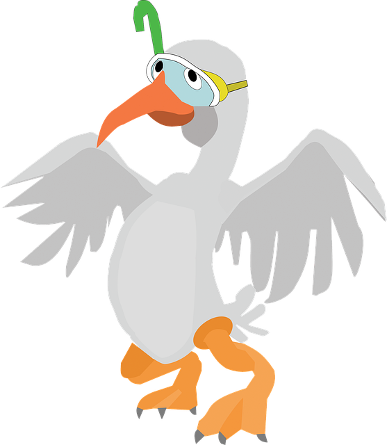 Pássaro, Ornitologia, Gaivota, Voe, Céu