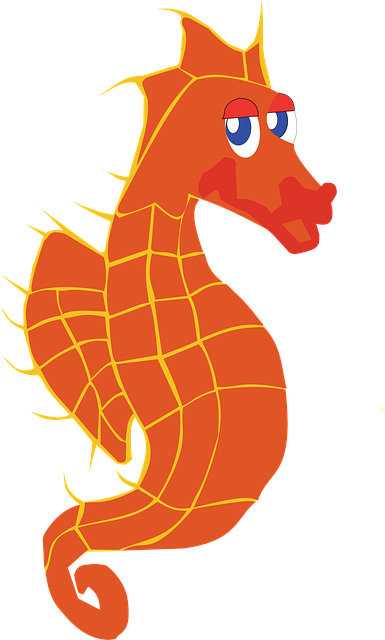 Cavalo Marinho, Embaixo Da Agua