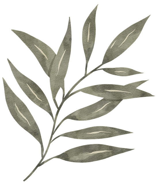 Free nature leaves plant illustration